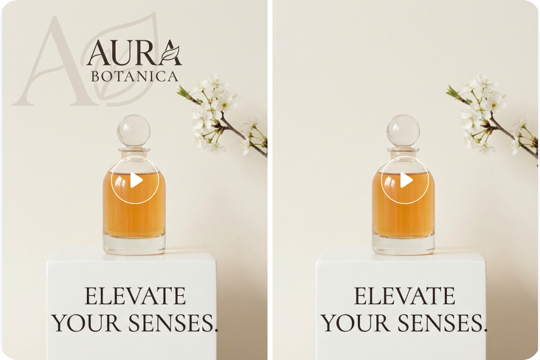 Preserve Layout, Motion, and Transitions